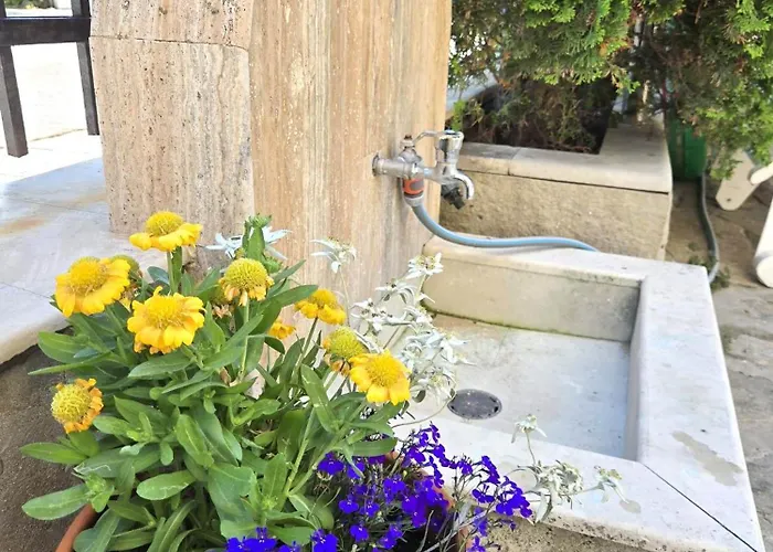 Отель Family Primo